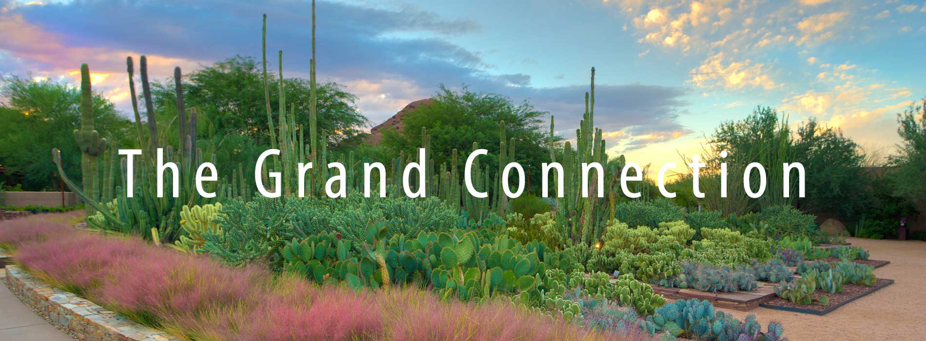 Desert_Botanical_Garden_Sized_web_profiles_3